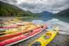 http://c328301.r1.cf1.rackcdn.com/DPI12256972LARGE.jpg