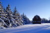 Red Barn In Winter, Near Oakbank, Manitoba PosterPrint - Item # VARDPI2027903