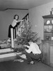 Couple decorating Christmas tree Poster Print - Item # VARSAL255416428