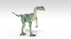 Dilophosaurus dinosaur, white background Poster Print - Item # VARPSTKVA600729P