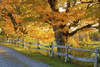 http://c328301.r1.cf1.rackcdn.com/DPI1977538LARGE.jpg