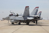 An F/A-18C Hornet of United States Marine Corps squadron VMFA-314, being readied for flight at Marine Corps Air Station Miramar, California Poster Print - Item # VARPSTTZG100338M