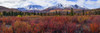 Autumn colours brighten the landscape in Tombstone territorial Park, along the Dempster highway; Yukon, Canada PosterPrint - Item # VARDPI12287359