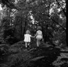 Rear view of two small girls  walking in forest Poster Print - Item # VARSAL255416408