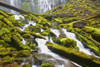 Proxy Falls In Willamette National Forest; Oregon, United States of America PosterPrint - Item # VARDPI1998585