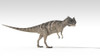 Ceratosaurus dinosaur, white background Poster Print