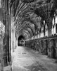 Corridor of a cathedral  Gloucester Cathedral  Gloucester  England Poster Print - Item # VARSAL9902546
