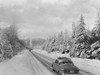 USA  Washington   Cascade Mountains  icy highway Poster Print - Item # VARSAL255423812