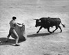 Rear view of a bullfighter fighting with a bull Poster Print - Item # VARSAL25520455