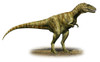 Alioramus remotus, a prehistoric era dinosaur from the Late Cretaceous period Poster Print - Item # VARPSTSKR100051P