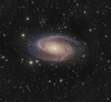 Messier 81 spiral galaxy in the constellation Ursa Major Poster Print - Item # VARPSTBBF200011S