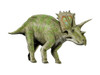 Anchiceratops is a ceratopsian dinosaur from the Cretaceous Period Poster Print - Item # VARPSTNBT600067P