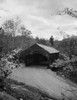 USA  New Hampshire  Swift River Passaconaway  old covered bridge Poster Print - Item # VARSAL255423964