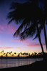 Hawaii, Big Island, Kohala Coast, Anaeho'omalu Bay, With Fishpond Foreground, Palms At Sunset Colorful Tropical Scene Pink Clouds Golden Sky PosterPrint - Item # VARDPI2004194