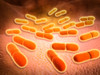 Microscopic view of Listeria monocytogenes. Listeria monocytogenes is the causative agent of the bacterial infection called listeriosis Poster Print - Item # VARPSTSTK700457H