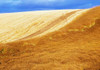 http://c328301.r1.cf1.rackcdn.com/DPI1813904LARGE.jpg