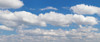 http://c328301.r1.cf1.rackcdn.com/PPI158581L.jpg