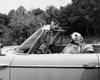 Dog driving a convertible car Poster Print - Item # VARSAL25523789