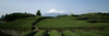 Mount Fuji Japan The Field Poster Print - Item # VARPPI67126