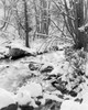 Stream in winter Poster Print