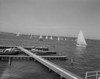 USA  Washington  Seattle  sailing on Lake Washington Poster Print - Item # VARSAL255422224