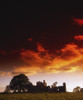 Co Meath, Bective Abbey, Ireland PosterPrint - Item # VARDPI1805093
