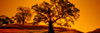 http://c328301.r1.cf1.rackcdn.com/PPI150216S.jpg