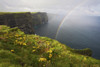 Rainbow over the Cliffs of Moher; County Clare, Ireland PosterPrint - Item # VARDPI2429612