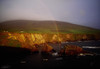 Dunquin Harbour, Dingle Peninsula,Co Kerry, Ireland PosterPrint - Item # VARDPI1811761