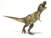 Tyrannosaurus Rex dinosaur on white background with drop shadow Poster Print - Item # VARPSTVET600067P