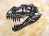 Ceratosaurus dinosaur skull on textured background Poster Print - Item # VARPSTHPT600006P