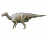 Delapparentia turolensis, Early Cretaceous of Spain Poster Print - Item # VARPSTNBT600023P Delapparentia turolensis, Early Cretaceous of Spain Poster Print - Item # VARPSTNBT600023P