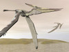 Two pteranodons flying over small islands Poster Print - Item # VARPSTEDV600161P