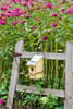 Close-up of a birdhouse on a rustic fence in a flower garden, Marion County, Illinois, USA Poster Print - Item # VARPPI169145