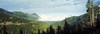 Trees in a forest, Hurricane Ridge, Olympic National Park, Washington State, USA Poster Print - Item # VARPPI117691