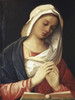 Madonna in Prayer  16th C.  Artist Unknown Poster Print - Item # VARSAL9003568