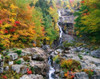 White Mountains National Forest Poster Print by Panoramic Images (16 x 12) - Item # PPI89158