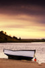 Boat On Seashore, Alnmouth, Northumberland, England PosterPrint - Item # VARDPI1847336