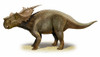 Achelousaurus horneri, a prehistoric era dinosaur from the Late Cretaceous period Poster Print - Item # VARPSTSKR100068P