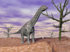 Argentinosaurus dinosaur standing on the cracked desert ground next to dead trees Poster Print - Item # VARPSTEDV600052P