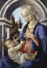 Virgin and Child   Sandro Botticelli   Musee du Petit-Palais  Avignon  France Poster Print - Item # VARSAL11582337