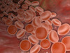 Inside view of the artery with red blood cells Poster Print - Item # VARPSTSTK700126H