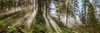http://c328301.r1.cf1.rackcdn.com/PPI164227L.jpg