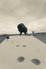 World's largest buffalo statue, Jamestown, Stutsman County, North Dakota, USA Poster Print - Item # VARPPI167105