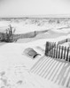 Snowy beach Poster Print - Item # VARSAL255416180