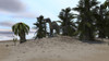 Suchomimus in a desert environment Poster Print - Item # VARPSTKVA600085P