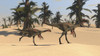 Two Gigantoraptors in desert landscape Poster Print - Item # VARPSTKVA600336P