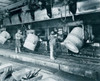 People working in a factory Poster Print