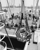 Cargo being loaded in an industrial ship  Philadelphia  Pennsylvania  USA Poster Print - Item # VARSAL25536431