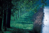 http://c328301.r1.cf1.rackcdn.com/PDDEU09DBR0276.jpg